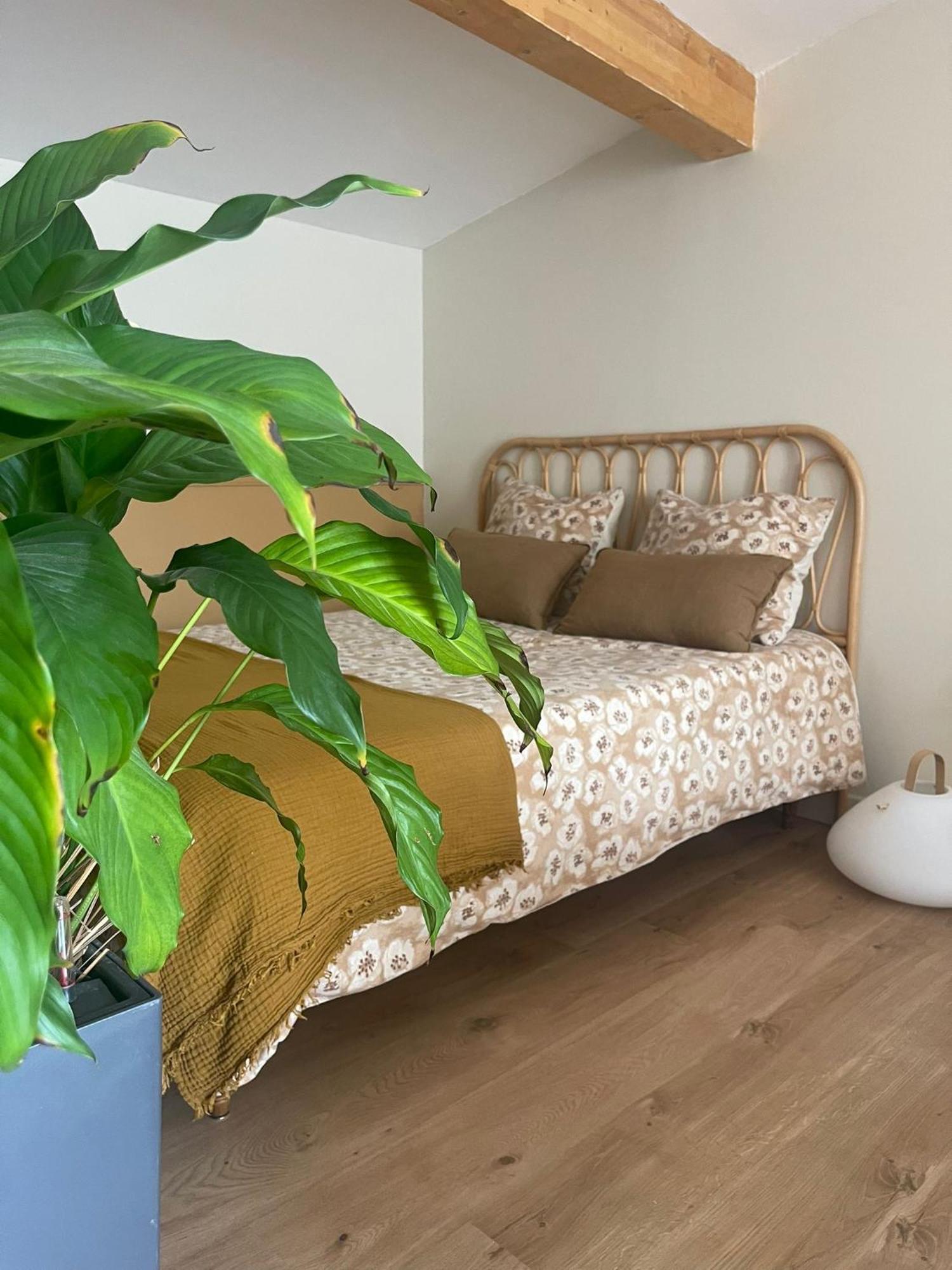 Studio Cosy Castanet-Tolosan Luaran gambar